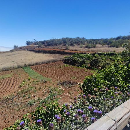Finca El Cercadillo Galdar Ngoại thất bức ảnh