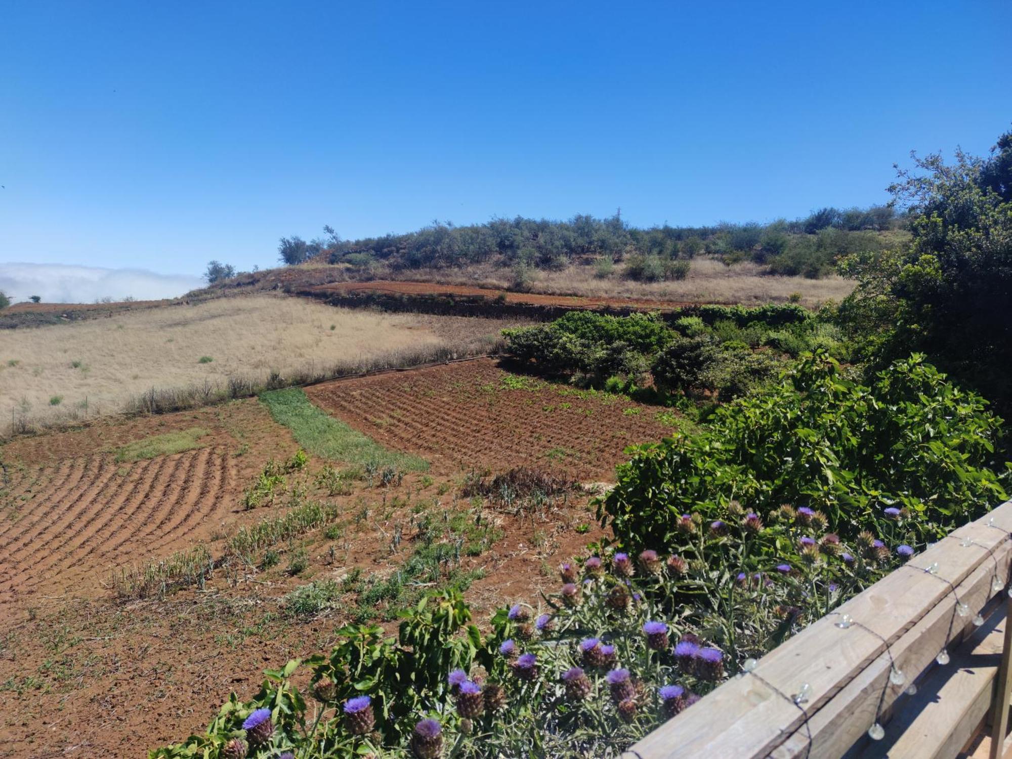 Finca El Cercadillo Galdar Ngoại thất bức ảnh